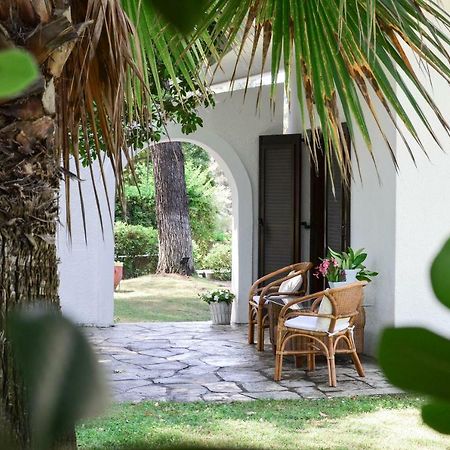 Villa Irini In Sani Sani  Eksteriør billede