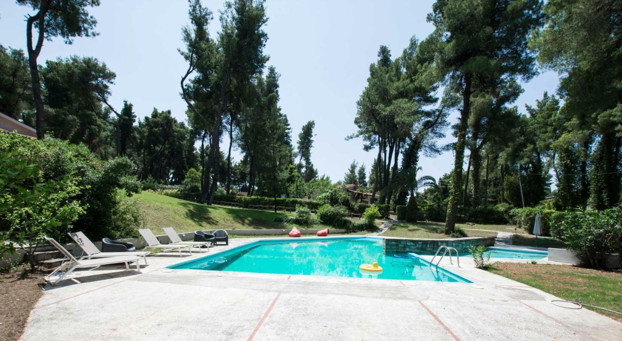 Villa Irini In Sani Sani  Eksteriør billede