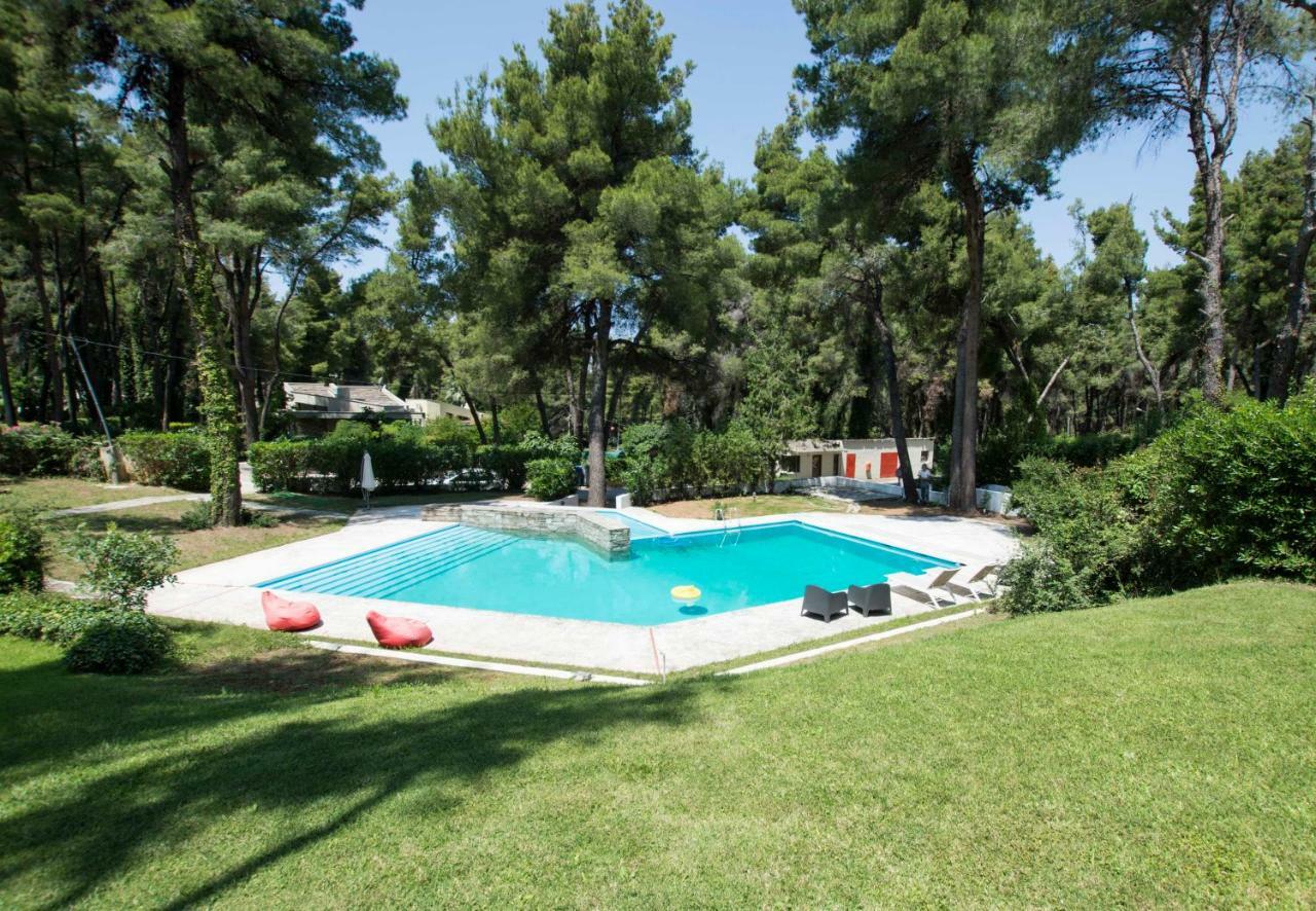 Villa Irini In Sani Sani  Eksteriør billede