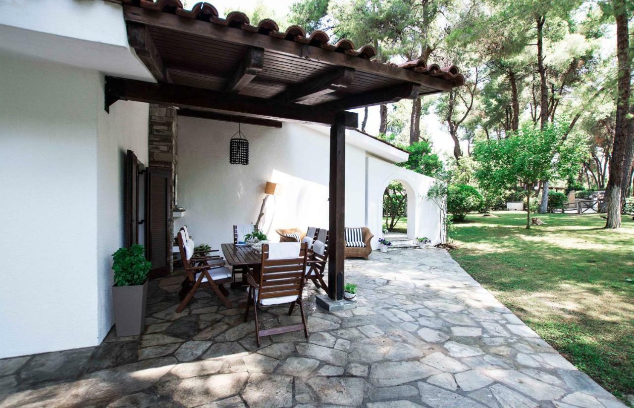 Villa Irini In Sani Sani  Eksteriør billede