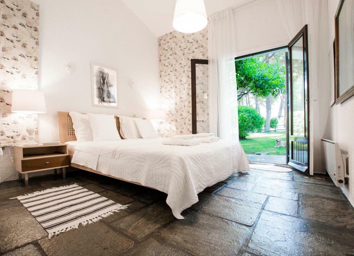 Villa Irini In Sani Sani  Eksteriør billede