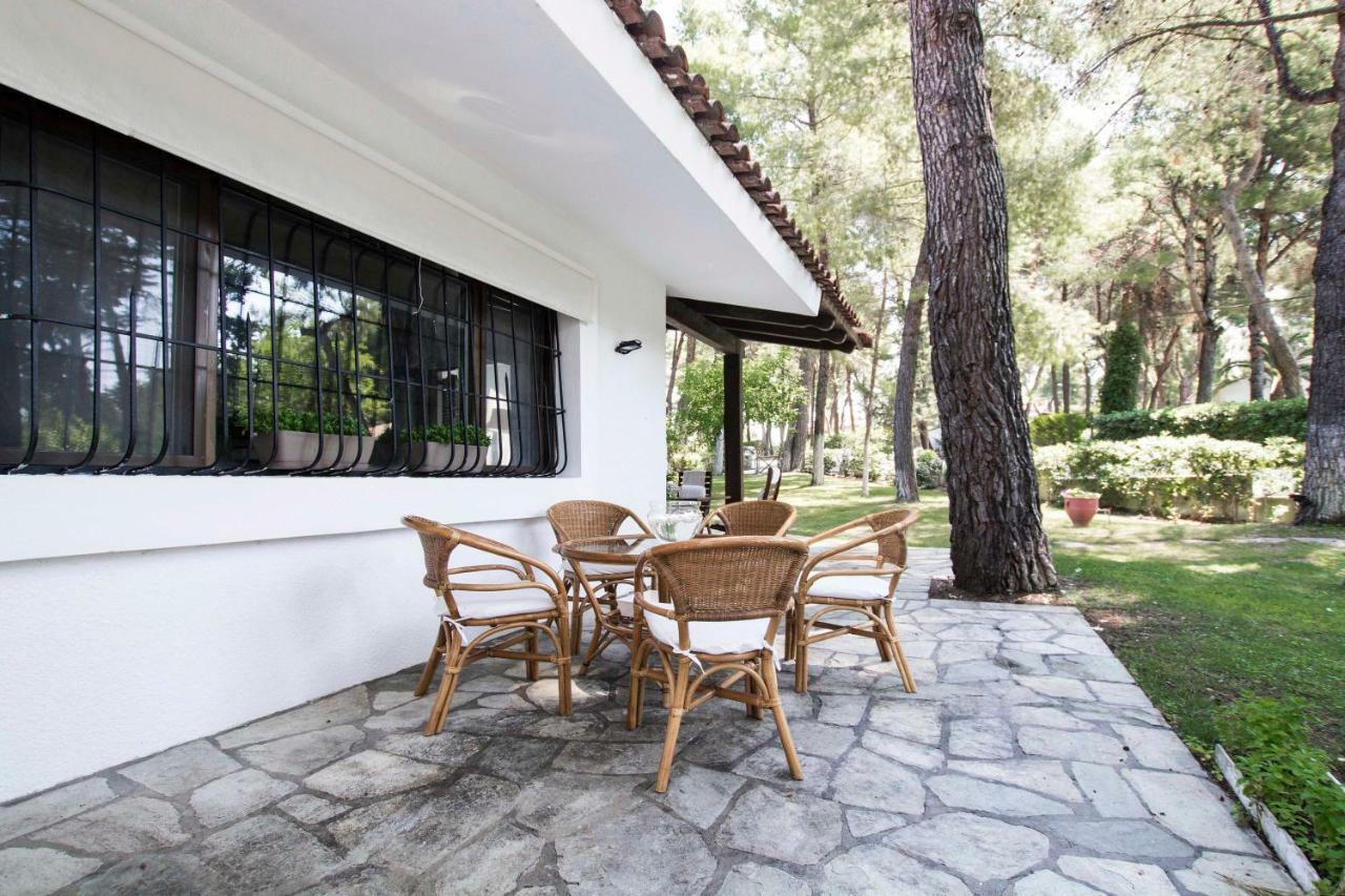 Villa Irini In Sani Sani  Eksteriør billede