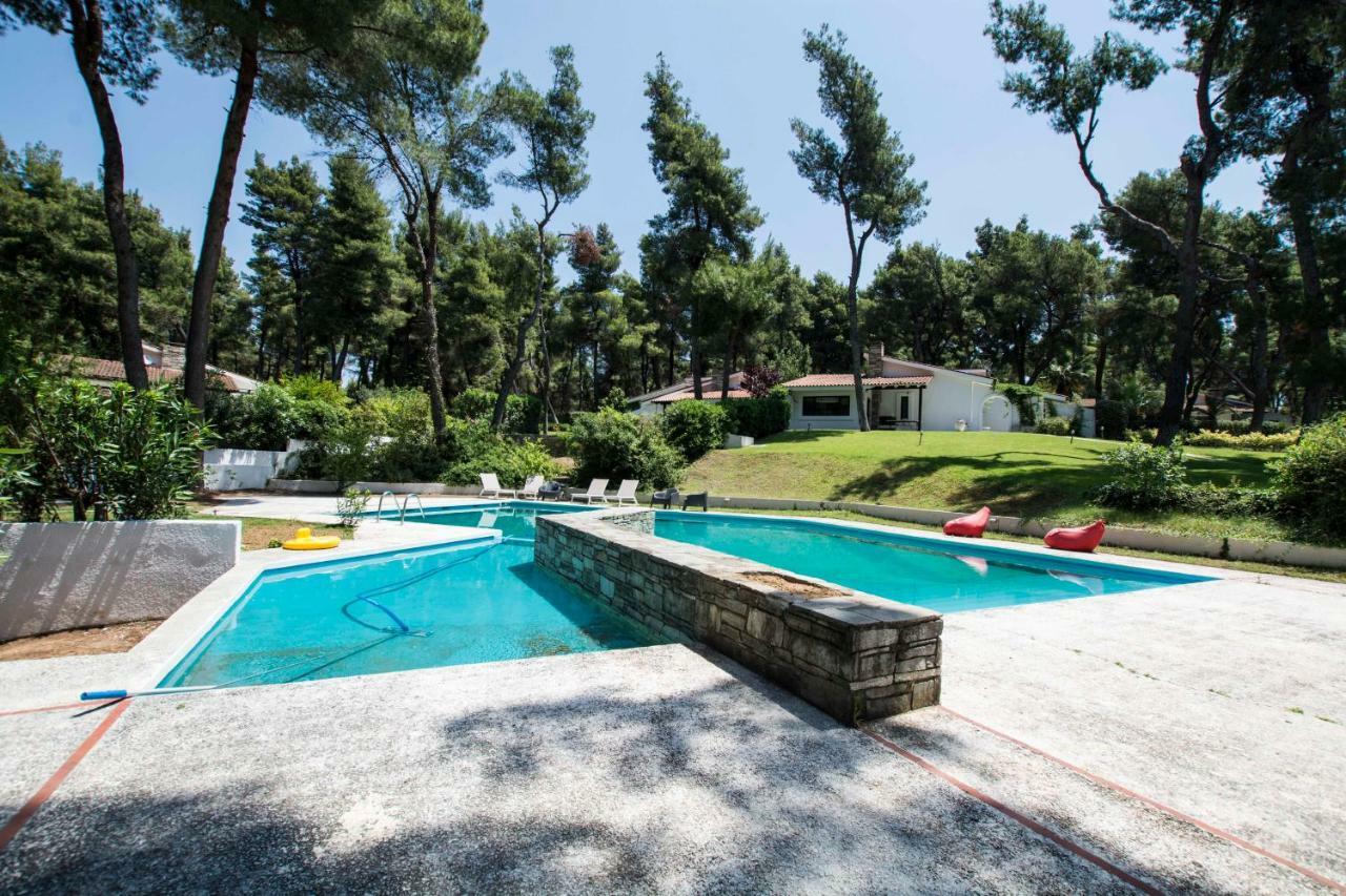 Villa Irini In Sani Sani  Eksteriør billede