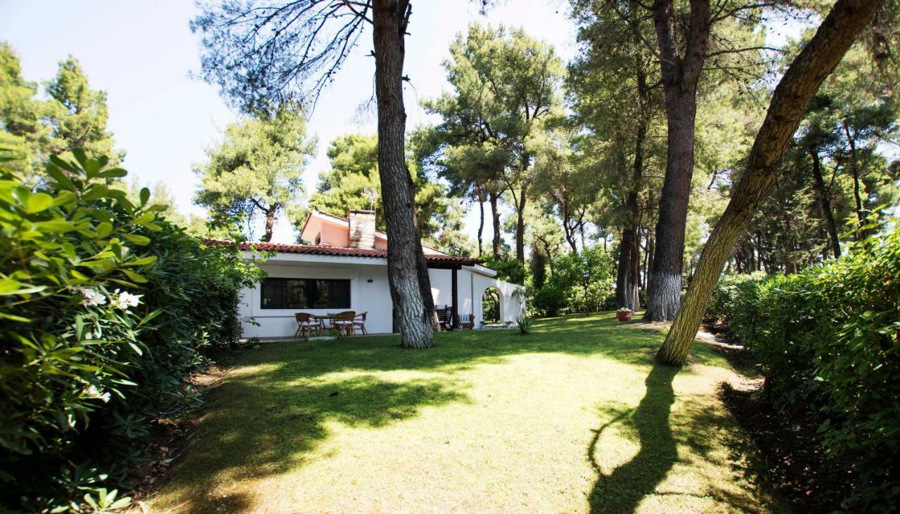 Villa Irini In Sani Sani  Eksteriør billede