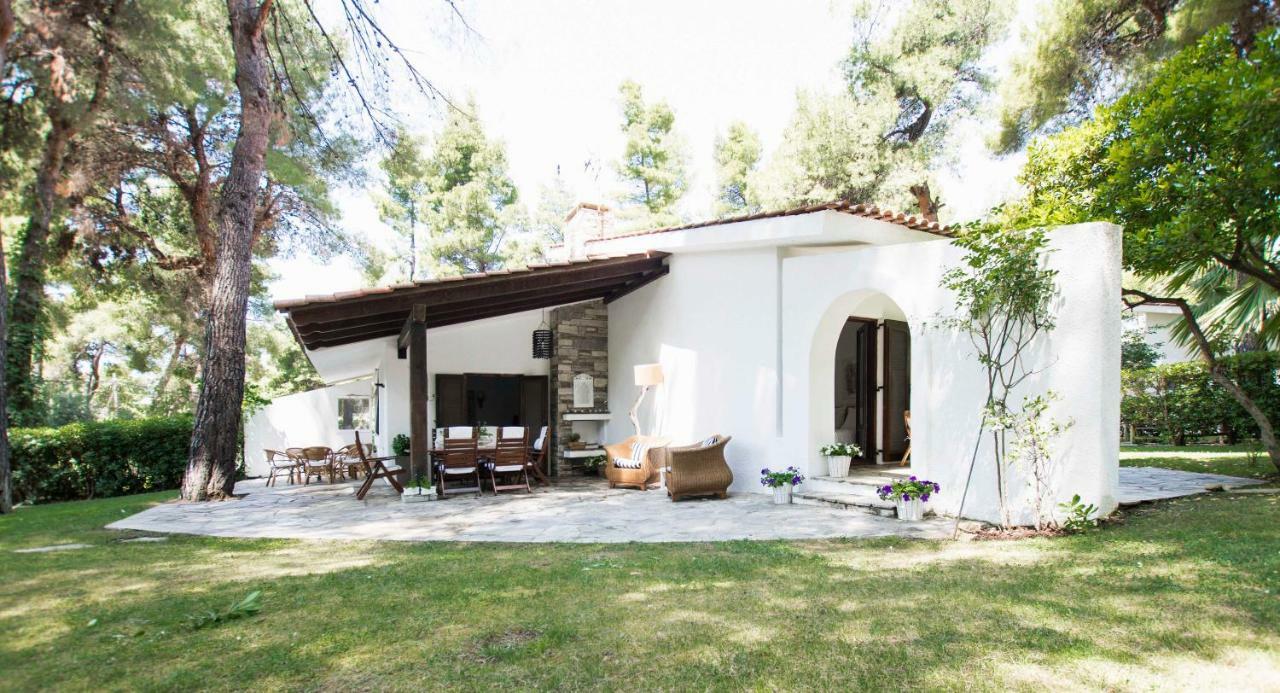 Villa Irini In Sani Sani  Eksteriør billede