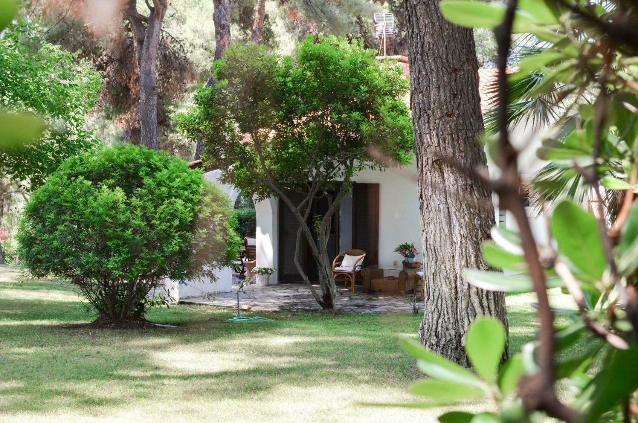 Villa Irini In Sani Sani  Eksteriør billede